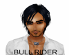 EP Bull Rider Necklace