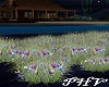 PHV Wildflowers w/Grass