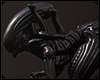 Alien Xenomorph