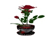 harley rose vase