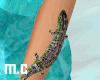 Arm Lizard