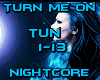 Nightcore-Turn Me On