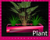 pink/black plant