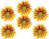 Feet Sunflower orbs
