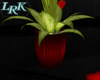 LRK~ Romantic Love Plant