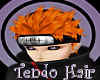 ~F~ Tendo Hair