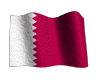 qatar flag