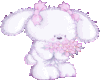 Cute White Fluffy Bunny