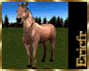 [Efr] Animated Horse