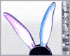 BBR Rainbow Rabbit Ears