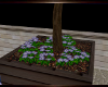 BRS Lilac Garden Flowers