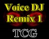 Voice DJ Remix 1