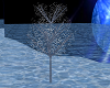 tree snow ice