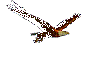 Eagle1
