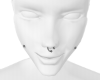 HD Dimples + Septum