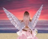 Pink Animated Angel Wing