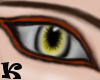 Kankuros' Eyes 