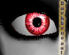 [D] Crystal Eyes: Red