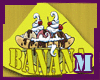 BananaSplit Hair/Bandana