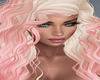 Qaidani CREAMSICLE