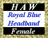 Royal Blue Headband - F