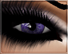 Wild Purple Eyes