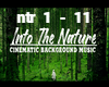 Into the nature / music