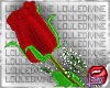[LD]Le Rose♣Single