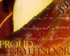 Proud Gryffindor