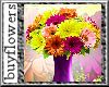 Colorful Gerbera Daisies