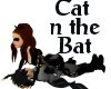 OCD Cat n the Bat
