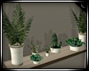 Wall Plant Decor