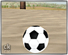 ck. Ocean Soccer Ball