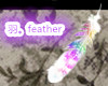 &#32701;&#12290;feather