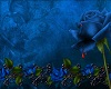 [Tazz]Blue blood rose