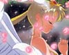 FP Sailor Moon Sticker