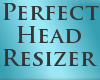 [F]PERFECT HEAD RESIZER
