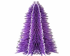 purple frost pine