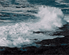 (AF) Sea Splash