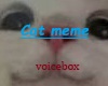 cat meme voicebox