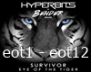 Survivor - Eye Of The Ti