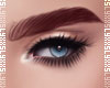 ▸L Anastasia Brows-Red