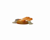 Bread in a dish