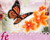 [fe]Buterfly Flower*Enh