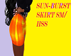 SunBurst skirt sm/hss