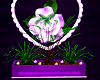 Purple Plant Bed