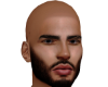 Lex Asteri Head