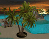 [ju]Tropical Palm  lu