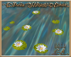 PWG Anim Water Lilies