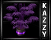 }KR{ Purple Palm Plant